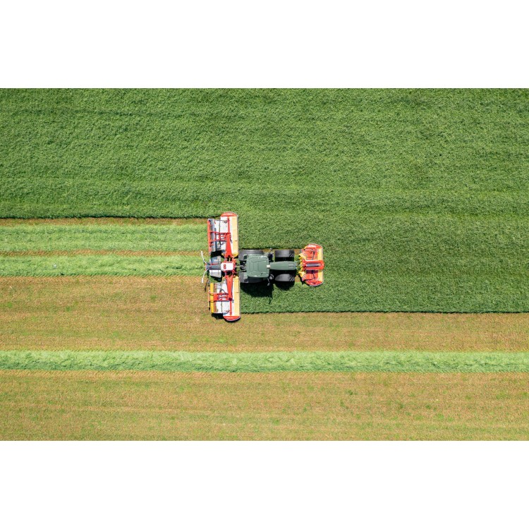 NOVACAT V 10000 ED CL