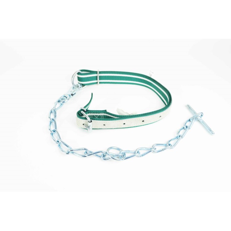 Vazák pro dobytek jednoduchý kombinovaný s krčním řemenem Nylon 130x4 cm