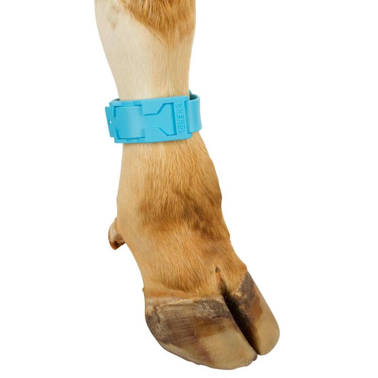 Páska na nohu plast modrá