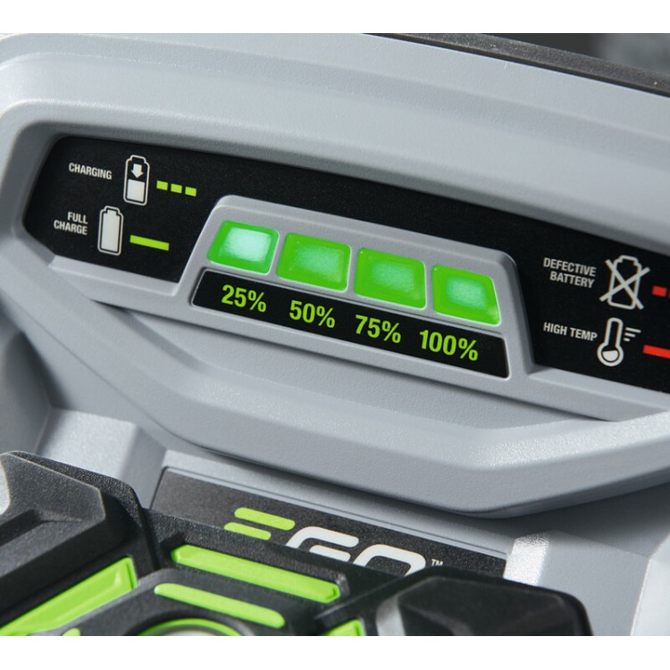 Rychlonabíječka 550W CH5500E