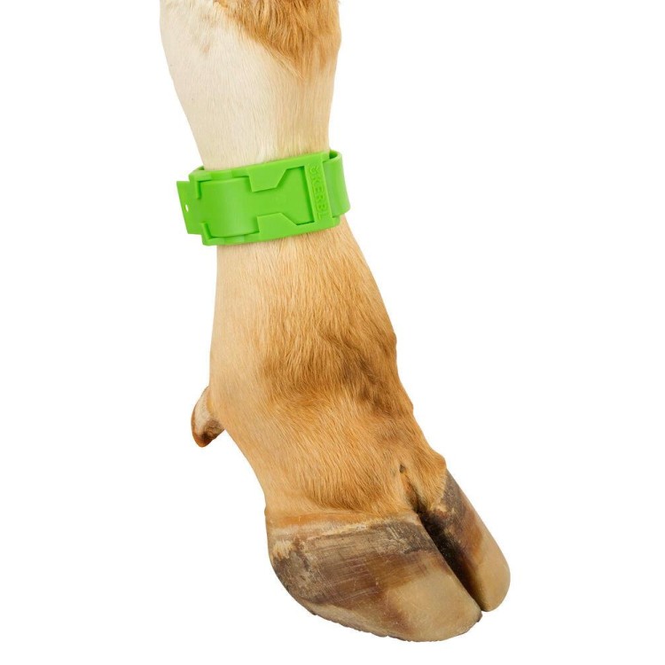 KERBL Páska na nohu plast, zelená