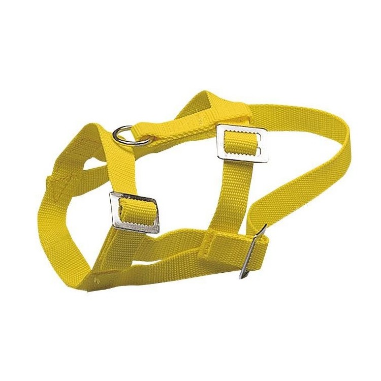 Ohlávka pro ovce a kozy žlutá