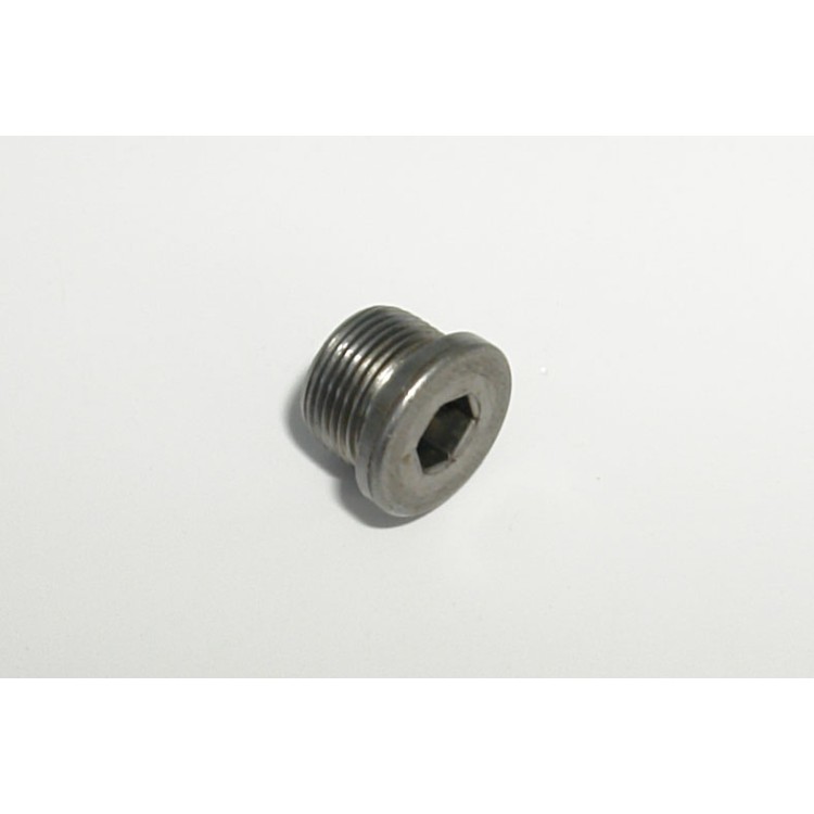 Šroub vypouštěcí M20x1,5-58