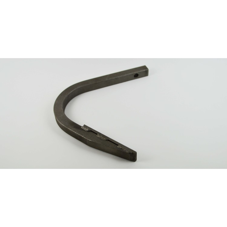 Radlička dlátovitá