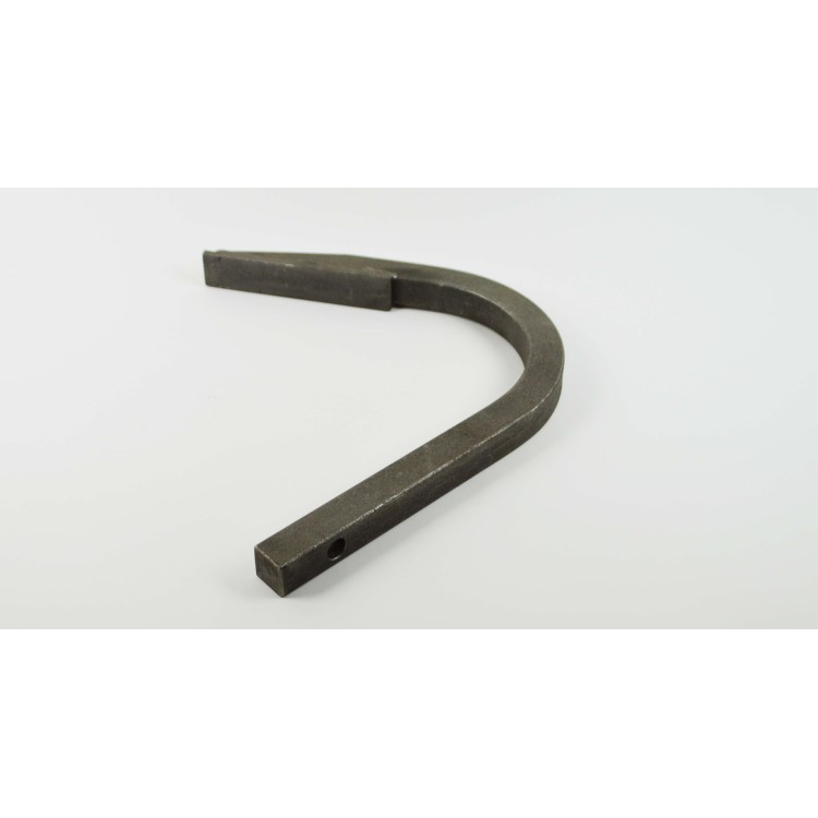 Radlička dlátovitá