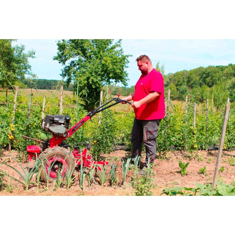 VARI 3616 Kypřič radličkový AKY-356