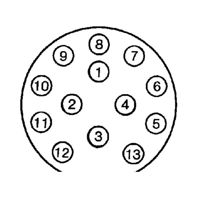 Zástrčka 13.pólová