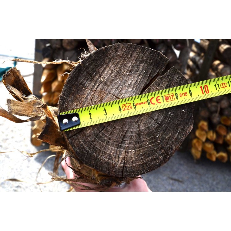 Kůl ohradníkový akátový 80-100x1800 mm