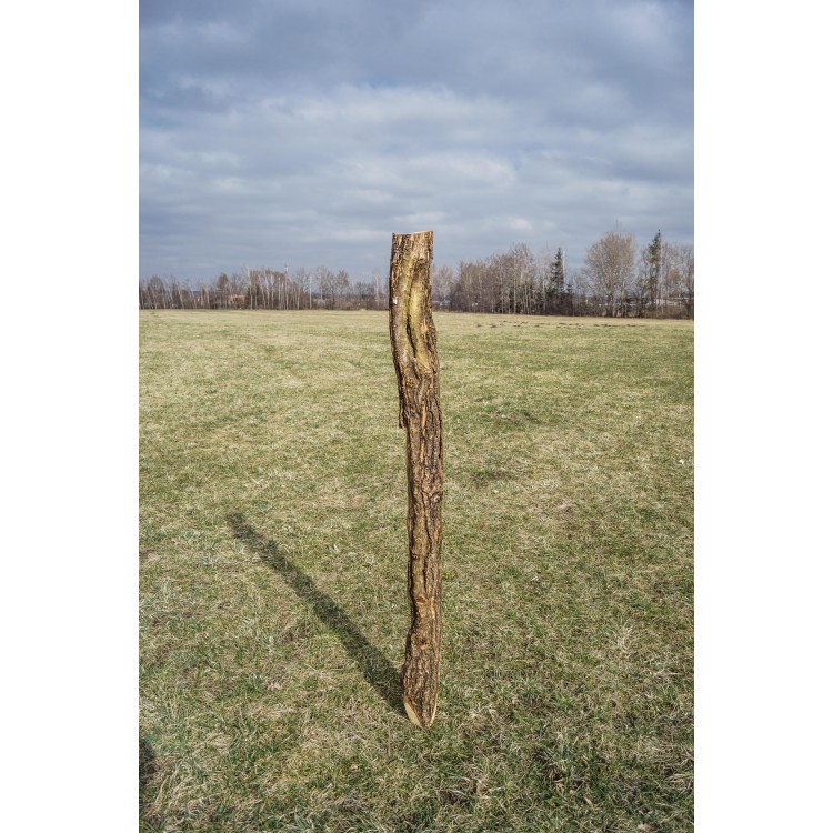 Kůl ohradníkový dubový 120-150x2000 mm