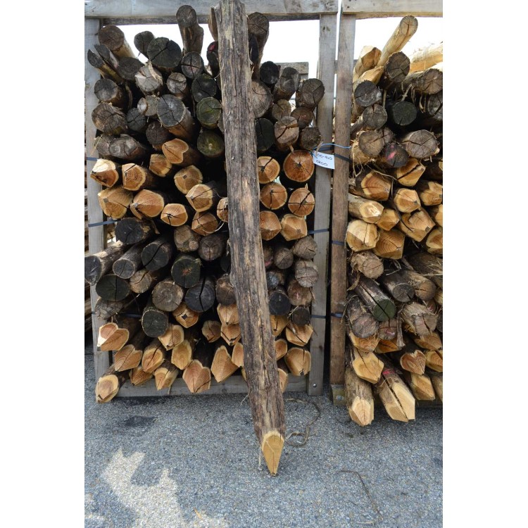 Kůl ohradníkový akátový 100-140x1800 mm