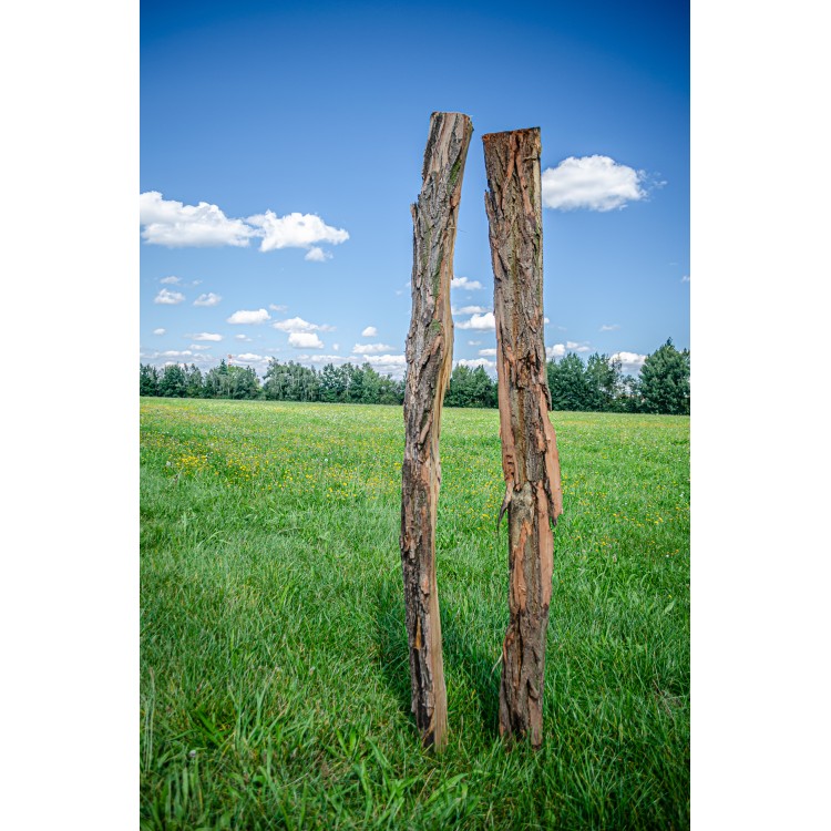 Kůl ohradníkový akátový 120-150x2000 mm