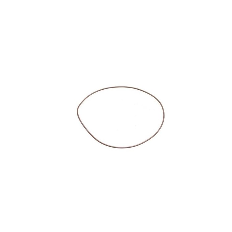 935319 Těsnící kroužek CAN (M)