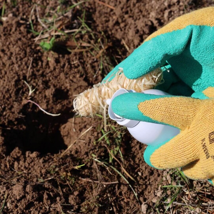 PACHO-LEK 8402 Pachový ohradník proti krtkům 250 ml