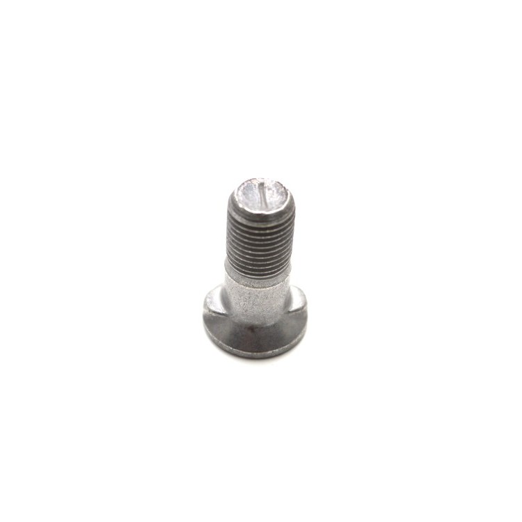 Šroub s 2 nosy M12x30 10.9