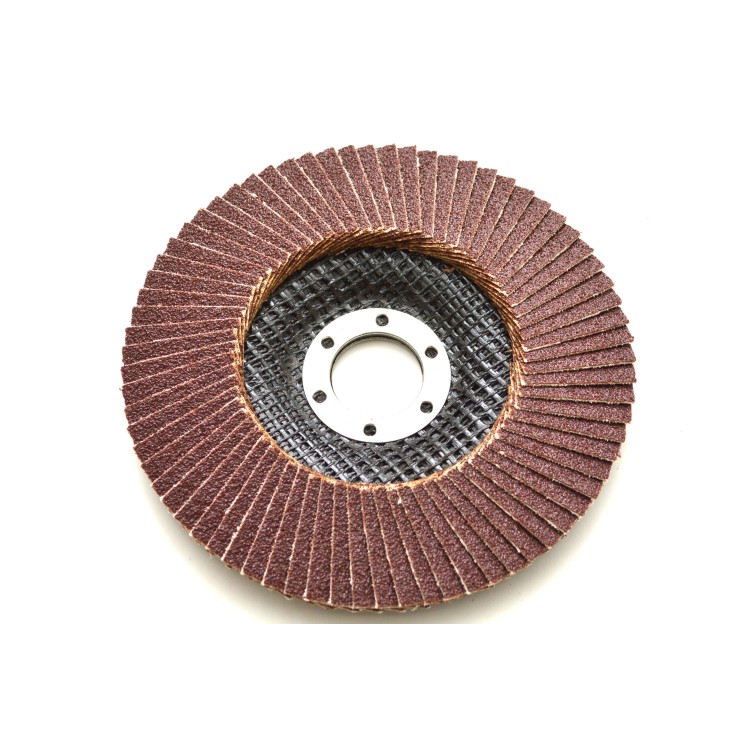 Kotouč brusný lamelový 125/60