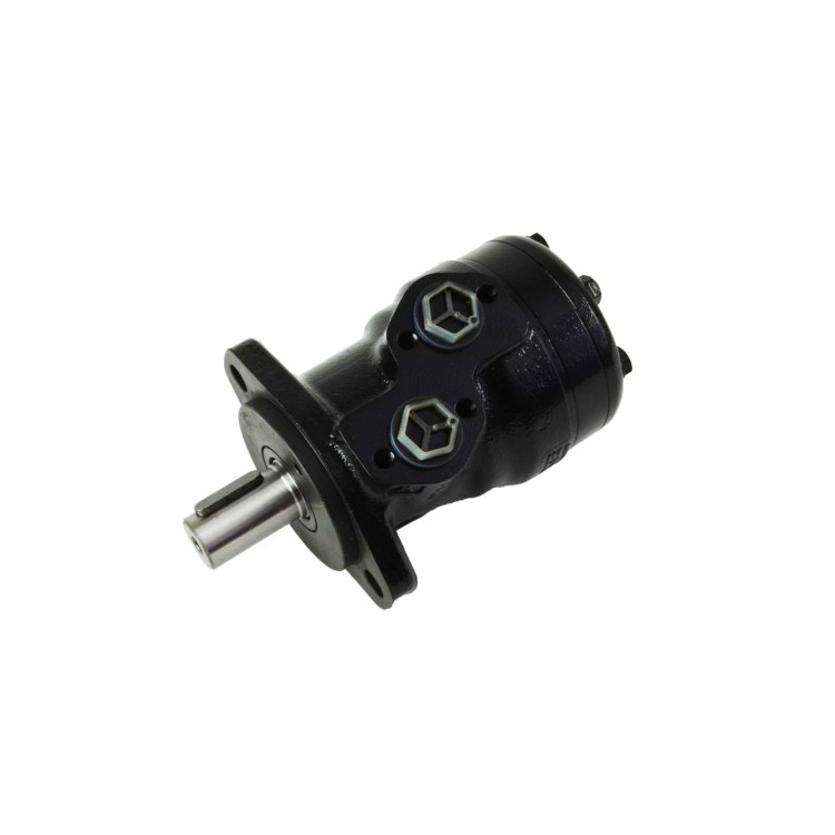 Hydromotor OMR 125  DM 25 (445.414)