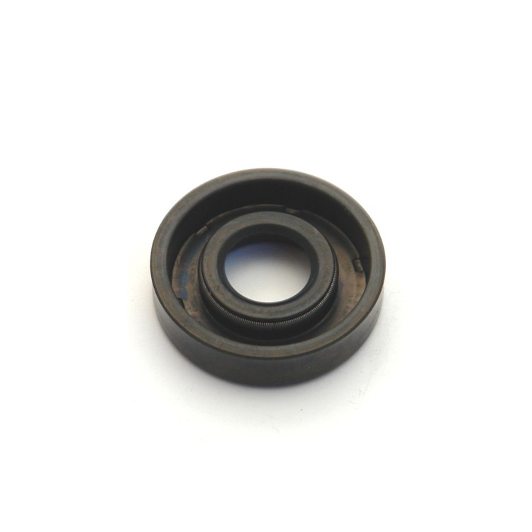 Gufero 10X18X5 G