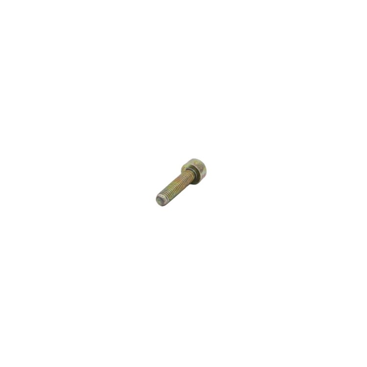 Pöttinger 104.915 Šroub M6x25 DIN 912 8,8 Zn