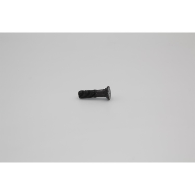Šroub M12x45 2nosy 10,9 DIN 110004