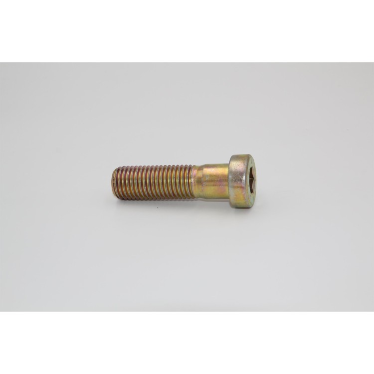 Šroub M20x70 DIN 7984 8 8 Zn