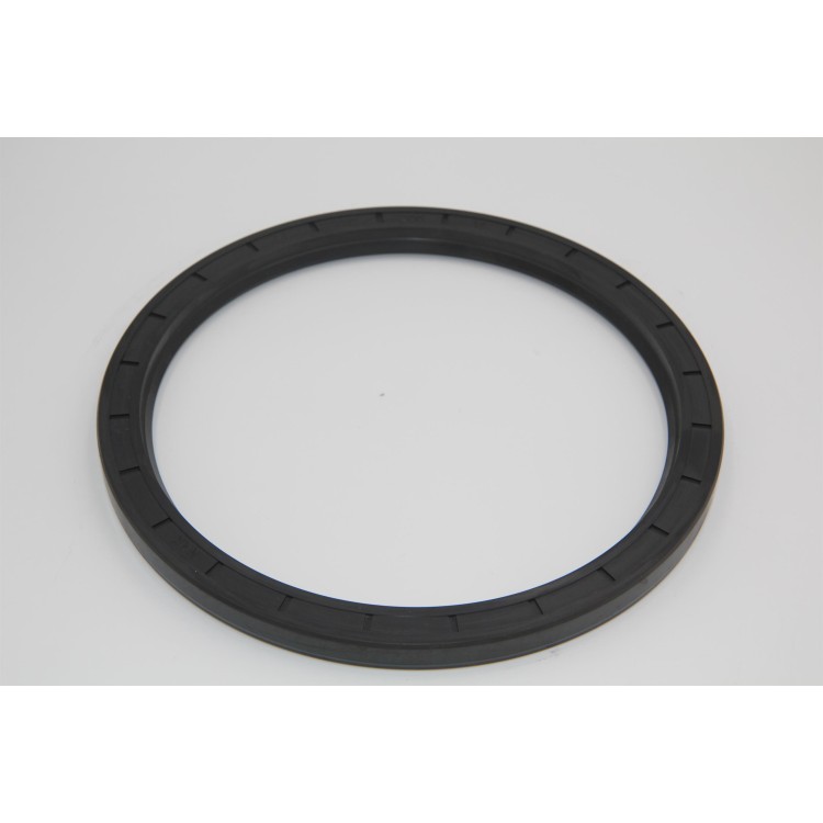 Gufero 170x200x12 DIN 3760