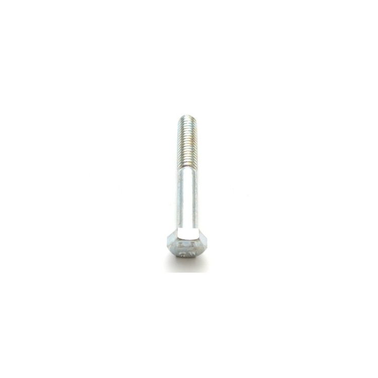 Šroub M8x55  8,8