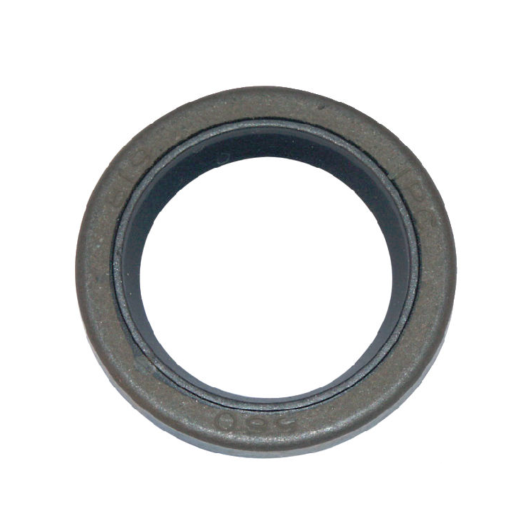 Briggs & Stratton Gufero 299819S