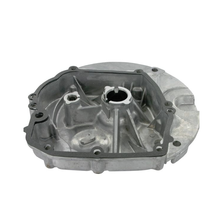 Briggs & Stratton Spodní víko motoru 493279