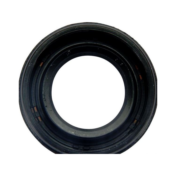 Gufero 15x25x6 A711059