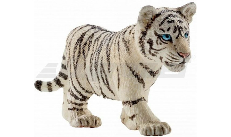 Tygr bílý mládě