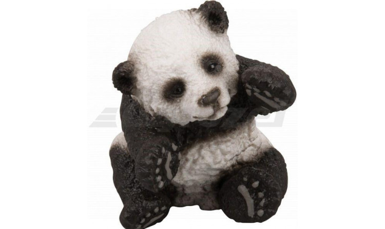 Panda, hrající si mládě