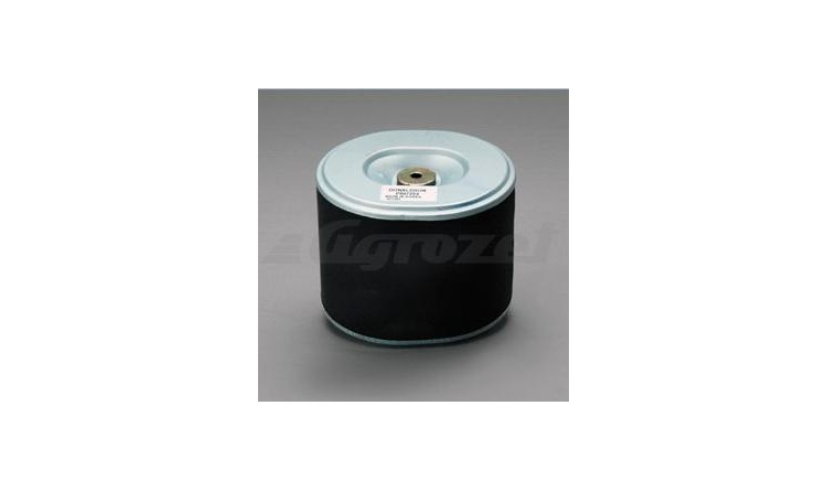 Vzduchový filtr Donaldson P607254