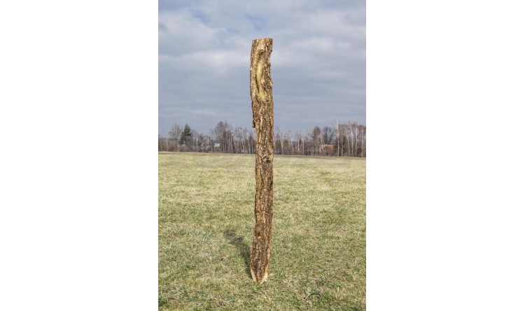 Kůl ohradníkový dubový 120-150x2000 mm