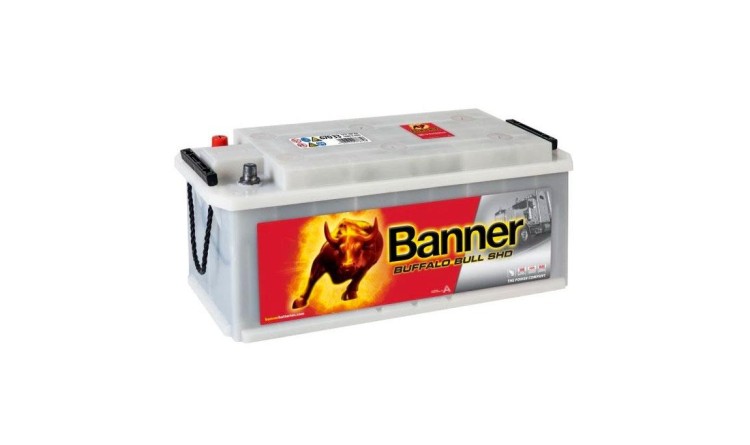 67033 Banner Buffalo Bull SHD 170Ah