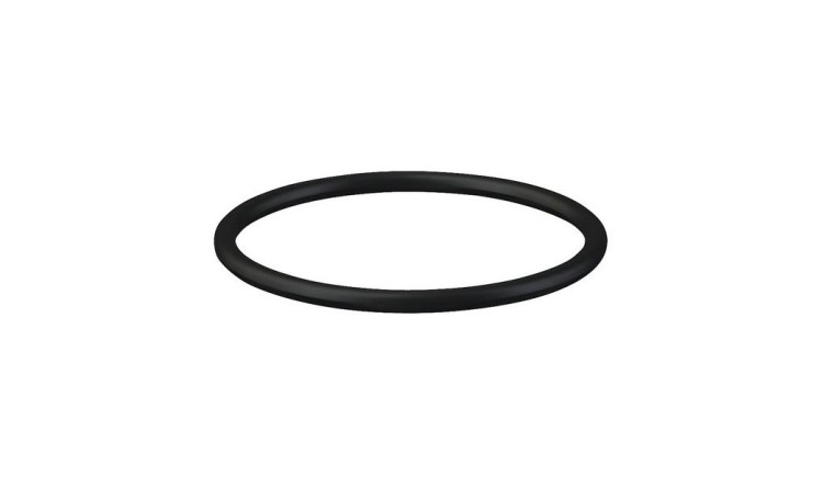OR2925090P001 O-kroužek 29 x 2,5 mm 90 shore
