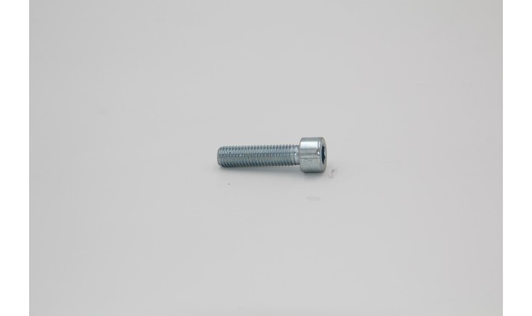 Šroub M10x40 DIN 912 8,8 Zn imbus