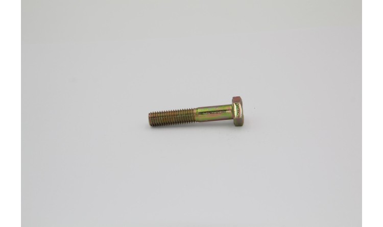 Šroub M10x55