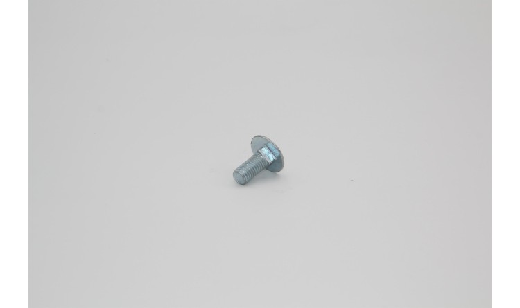Šroub M10x25