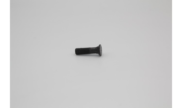 Šroub M12x45 2nosy 10,9 DIN 110004