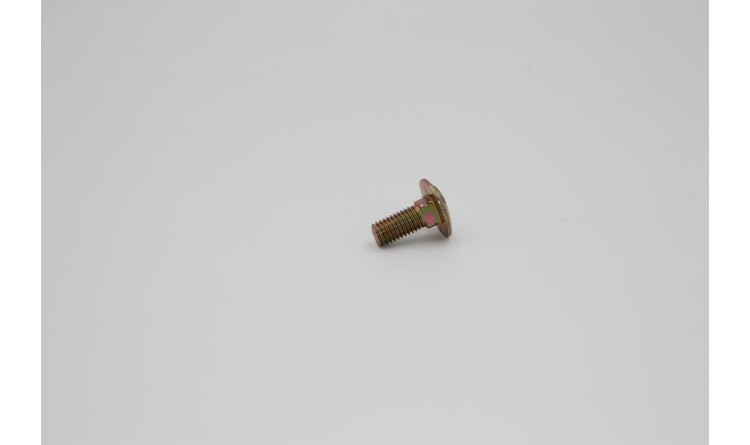 Šroub M10x25 Zn DIN 603 8.8 vratový