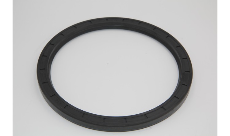 Gufero 170x200x12 DIN 3760