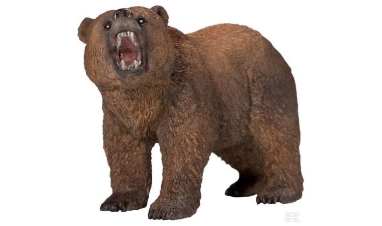 Medvěd grizzly