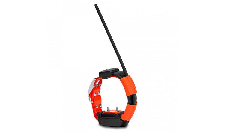 Obojek pro dalšího psa DOG GPS X30T