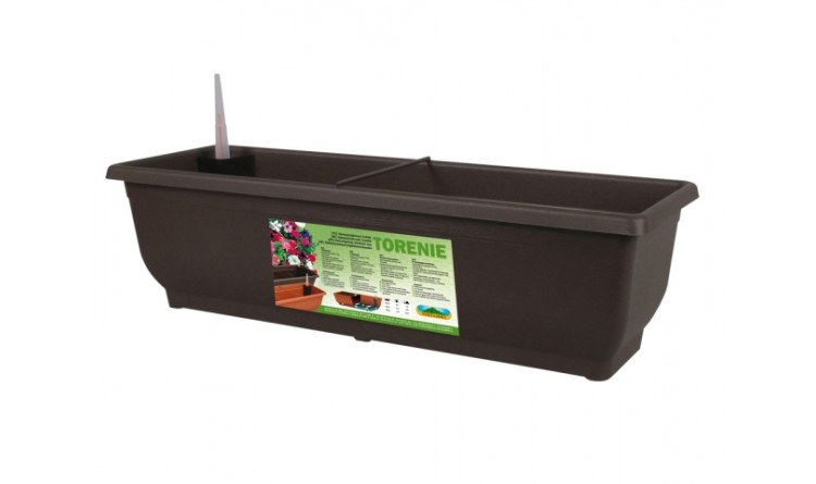 Truhlík sam. TORENIE 60cm 59115hn