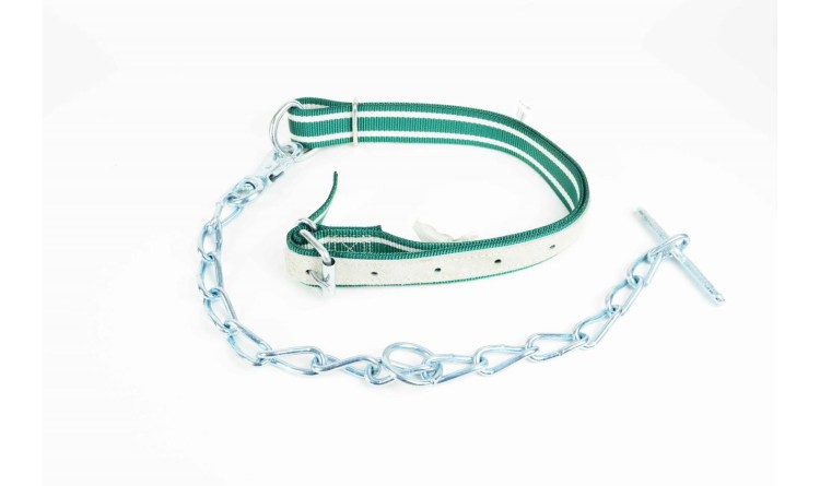 Vazák pro dobytek jednoduchý kombinovaný s krčním řemenem Nylon 130x4 cm