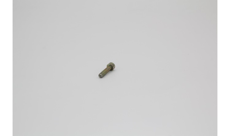 Šroub M6x25 DIN 912 8,8 Zn