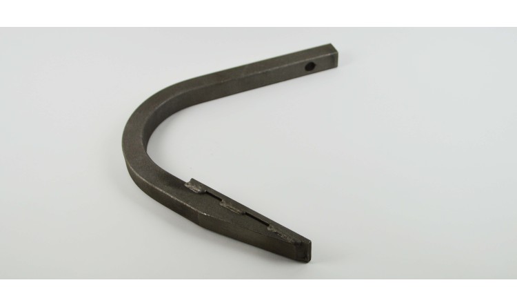 Radlička dlátovitá