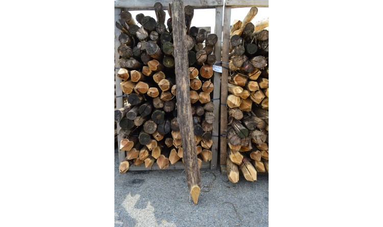 Kůl ohradníkový akátový 100-140x1800 mm