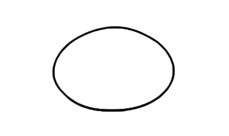 Zetor 935234 Těsnící kroužek CAS FHSX