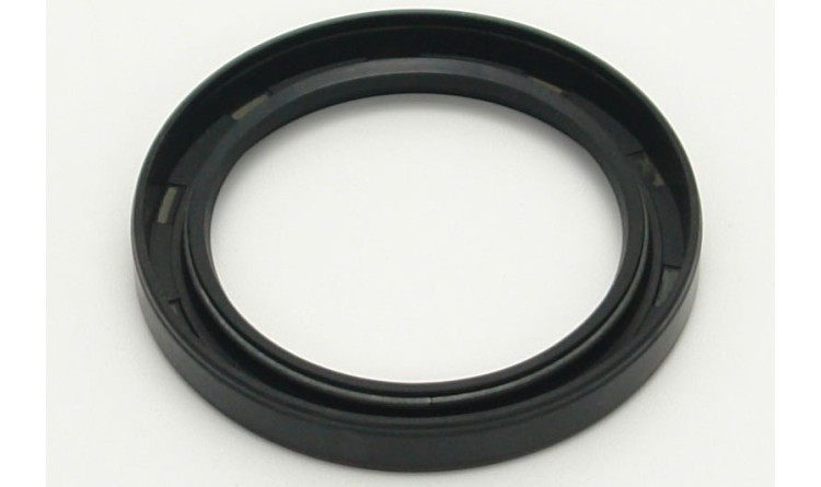 Gufero 25x52x10 SI GP